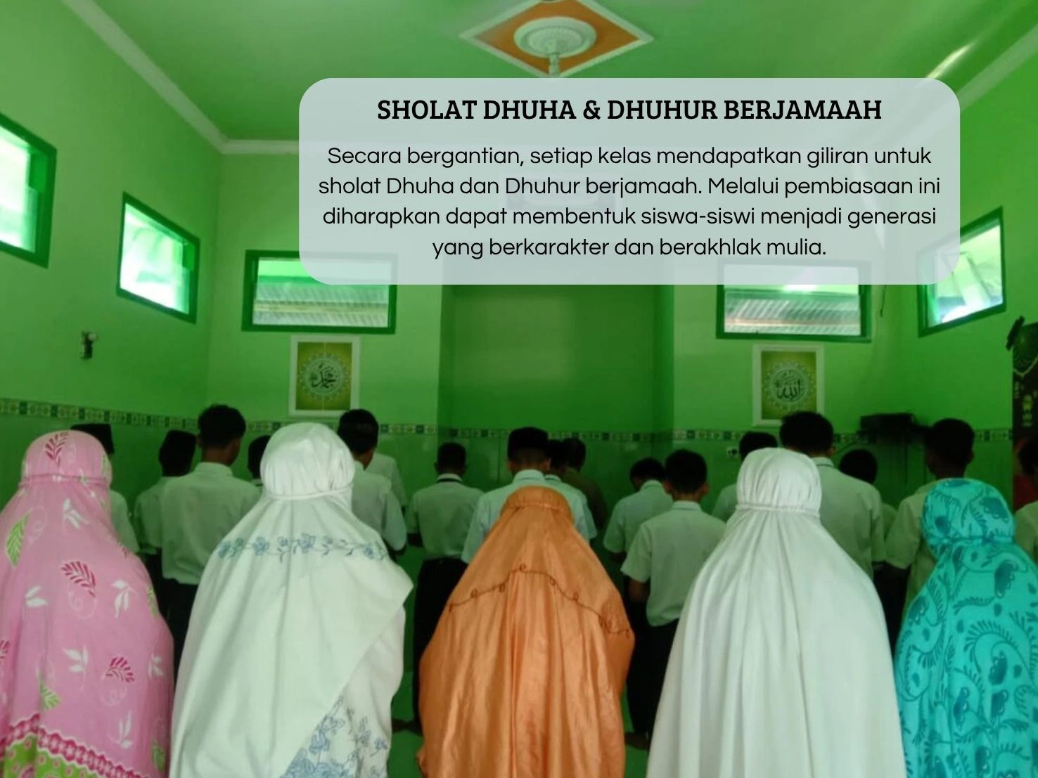 Program 4